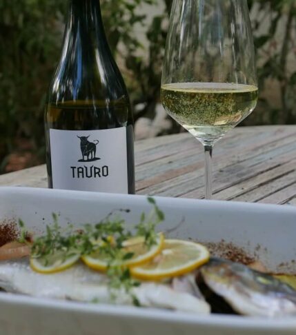 Παρουσίαση κρασιού: «TAURO»