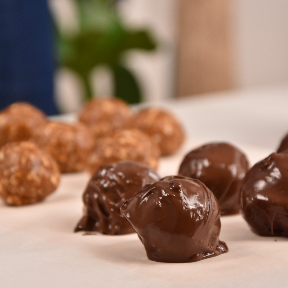 Energy Balls - Lotus